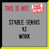 Stable Genius At Work
